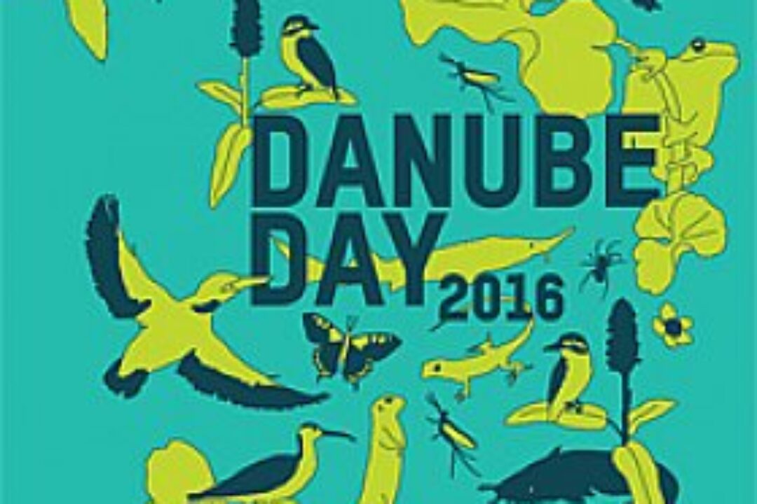 Danube Day 2016