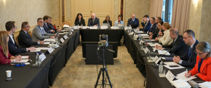 28th meeting of EUSDR PA 11 Security